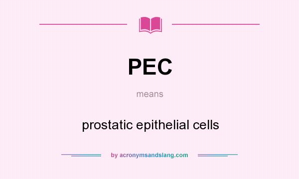 What does PEC mean? It stands for prostatic epithelial cells