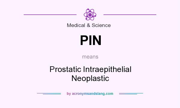 What does PIN mean? It stands for Prostatic Intraepithelial Neoplastic