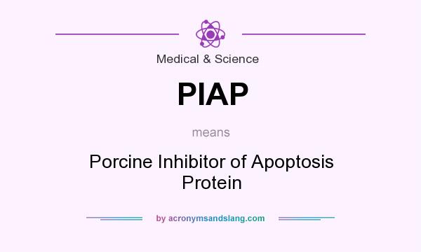 What does PIAP mean? It stands for Porcine Inhibitor of Apoptosis Protein