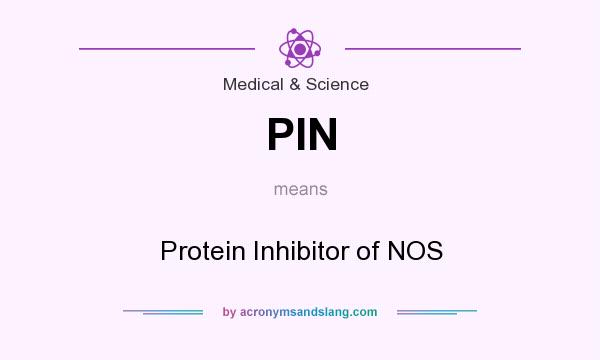 What does PIN mean? It stands for Protein Inhibitor of NOS