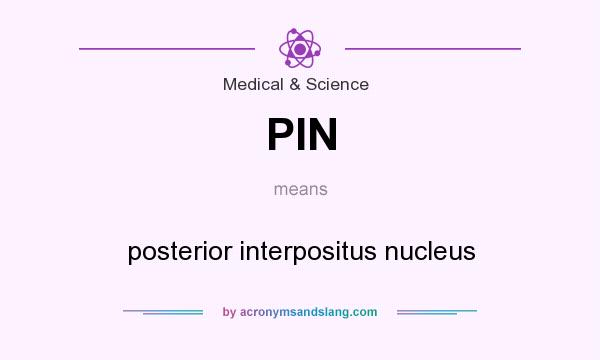 What does PIN mean? It stands for posterior interpositus nucleus