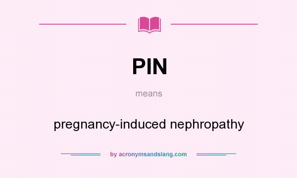 What does PIN mean? It stands for pregnancy-induced nephropathy