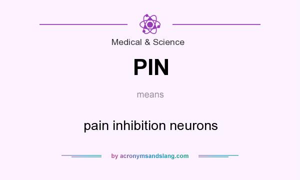 What does PIN mean? It stands for pain inhibition neurons