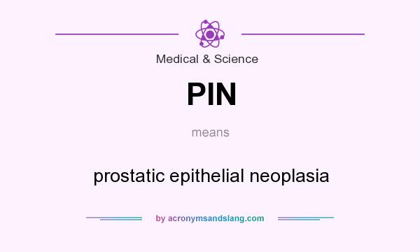 What does PIN mean? It stands for prostatic epithelial neoplasia