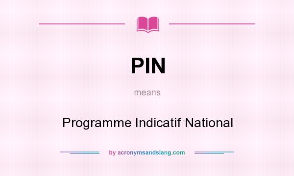 What does PIN mean? It stands for Programme Indicatif National