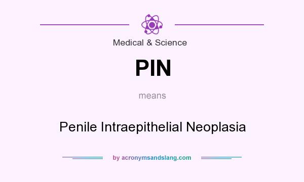 What does PIN mean? It stands for Penile Intraepithelial Neoplasia