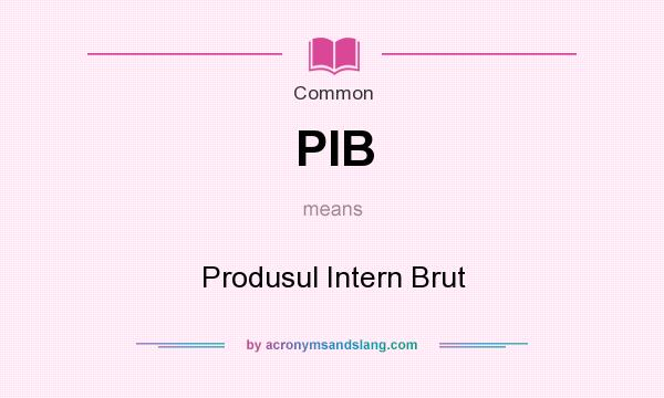 What does PIB mean? It stands for Produsul Intern Brut