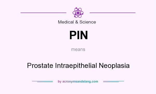 What does PIN mean? It stands for Prostate Intraepithelial Neoplasia