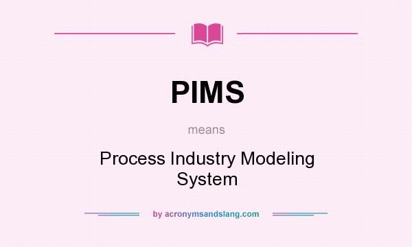 What does PIMS mean? It stands for Process Industry Modeling System