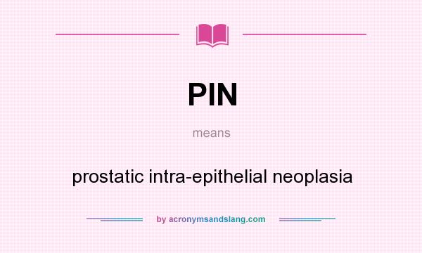 What does PIN mean? It stands for prostatic intra-epithelial neoplasia