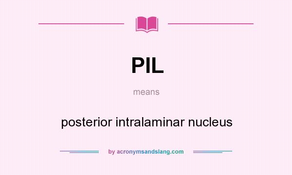 What does PIL mean? It stands for posterior intralaminar nucleus