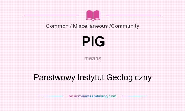 What does PIG mean? It stands for Panstwowy Instytut Geologiczny