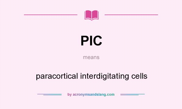 What does PIC mean? It stands for paracortical interdigitating cells
