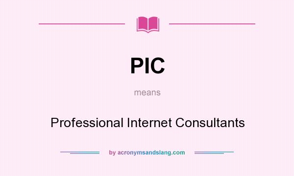 What does PIC mean? It stands for Professional Internet Consultants