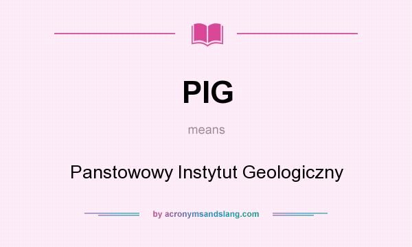What does PIG mean? It stands for Panstowowy Instytut Geologiczny