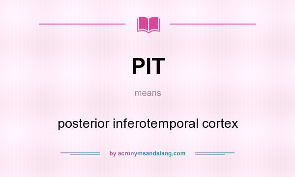 What does PIT mean? It stands for posterior inferotemporal cortex