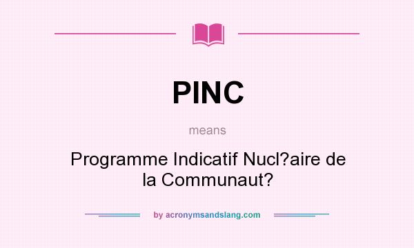 What does PINC mean? It stands for Programme Indicatif Nucl?aire de la Communaut?