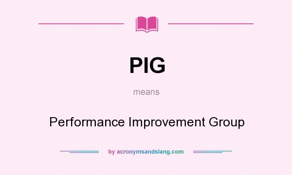 What does PIG mean? It stands for Performance Improvement Group