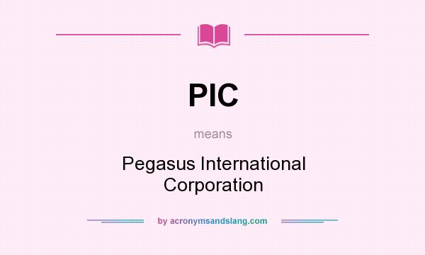 What does PIC mean? It stands for Pegasus International Corporation