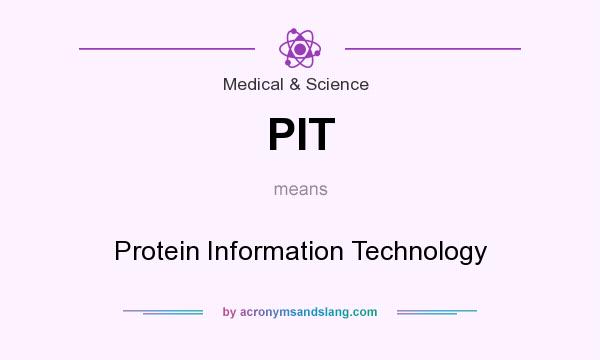What does PIT mean? It stands for Protein Information Technology