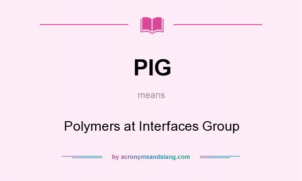 What does PIG mean? It stands for Polymers at Interfaces Group