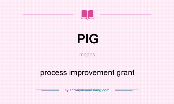 What does PIG mean? It stands for process improvement grant
