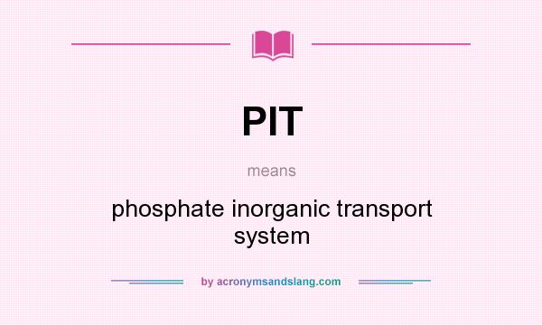 What does PIT mean? It stands for phosphate inorganic transport system