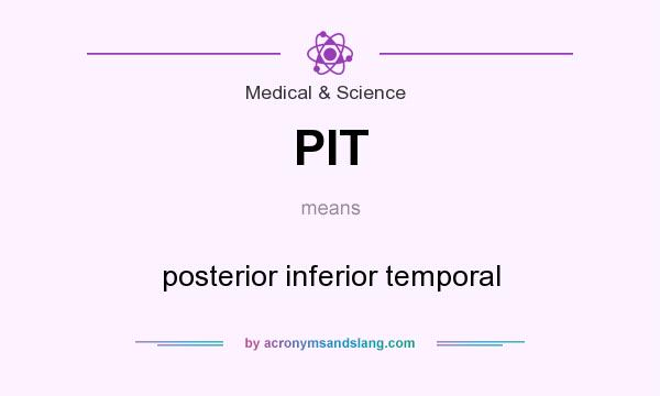 What does PIT mean? It stands for posterior inferior temporal
