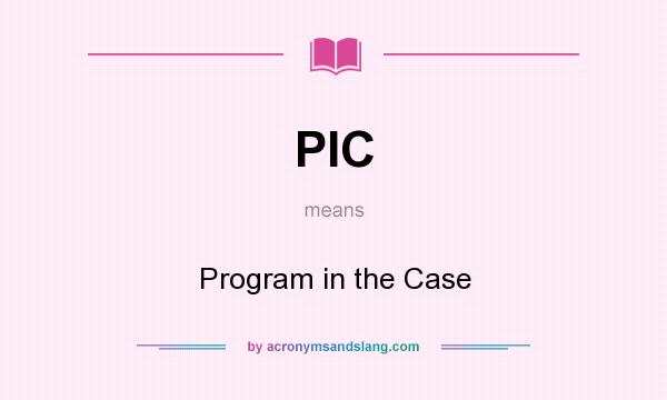 What does PIC mean? It stands for Program in the Case
