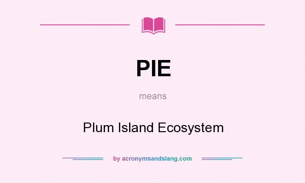 What does PIE mean? It stands for Plum Island Ecosystem