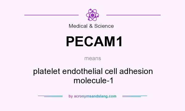 What does PECAM1 mean? It stands for platelet endothelial cell adhesion molecule-1