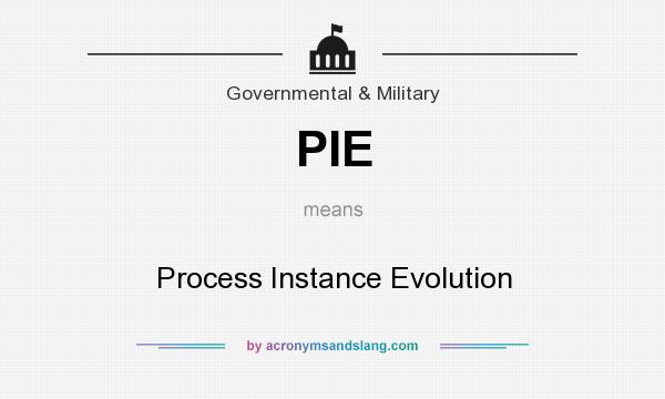 What does PIE mean? It stands for Process Instance Evolution