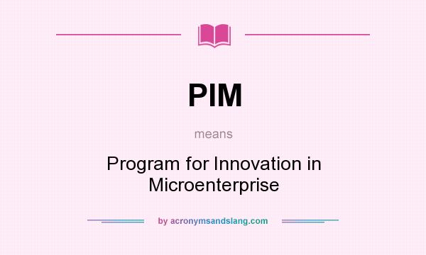 What does PIM mean? It stands for Program for Innovation in Microenterprise