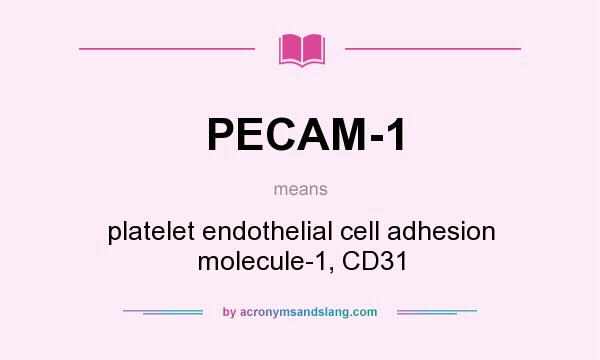 What does PECAM-1 mean? It stands for platelet endothelial cell adhesion molecule-1, CD31