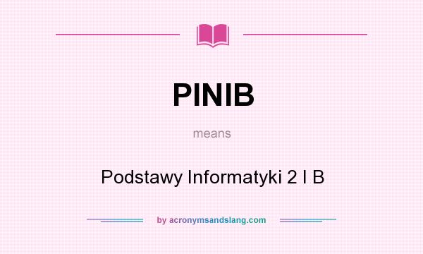 What does PINIB mean? It stands for Podstawy Informatyki 2 I B