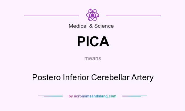 What does PICA mean? It stands for Postero Inferior Cerebellar Artery