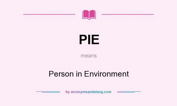 What does PIE mean? It stands for Person in Environment