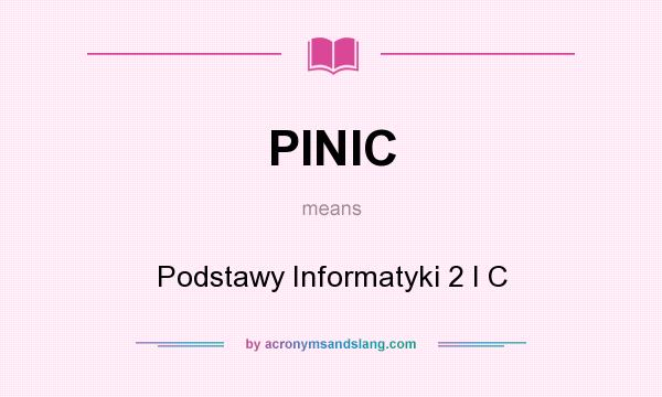 What does PINIC mean? It stands for Podstawy Informatyki 2 I C
