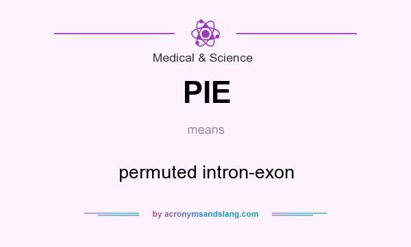 What does PIE mean? It stands for permuted intron-exon