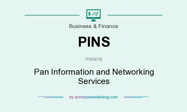 What does PINS mean? It stands for Pan Information and Networking Services