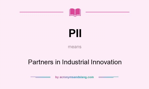 What does PII mean? It stands for Partners in Industrial Innovation