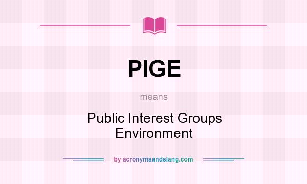 What does PIGE mean? It stands for Public Interest Groups Environment