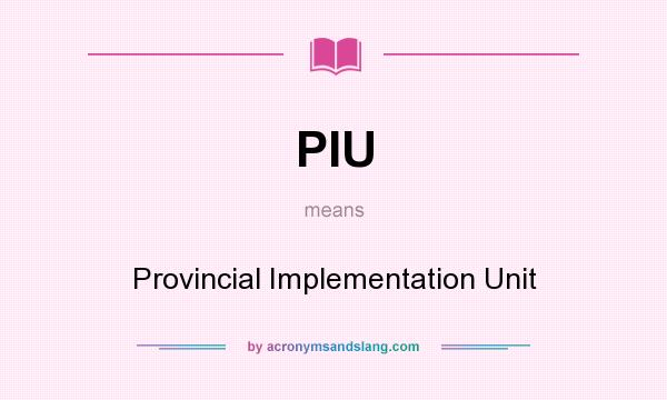 What does PIU mean? It stands for Provincial Implementation Unit