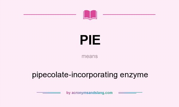 What does PIE mean? It stands for pipecolate-incorporating enzyme