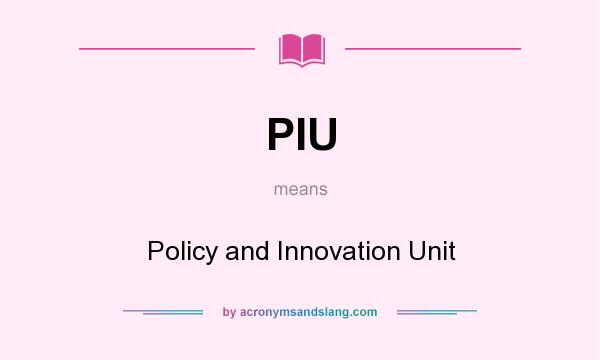 What does PIU mean? It stands for Policy and Innovation Unit