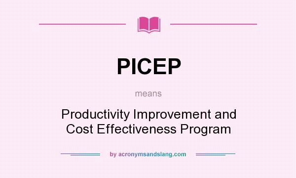 What does PICEP mean? It stands for Productivity Improvement and Cost Effectiveness Program