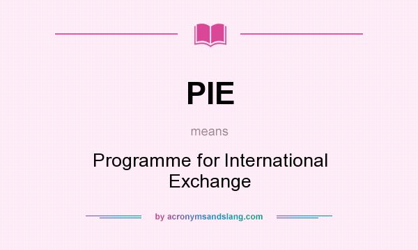What does PIE mean? It stands for Programme for International Exchange