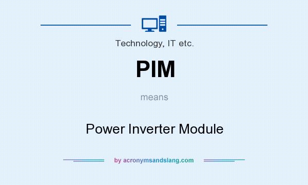What does PIM mean? It stands for Power Inverter Module