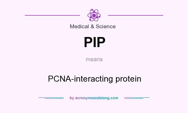 What does PIP mean? It stands for PCNA-interacting protein