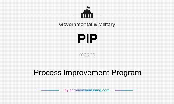 What does PIP mean? It stands for Process Improvement Program